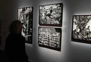 Lire la suite à propos de l’article EXPOSITION « THÈME TABLEAUX MEDUSES »