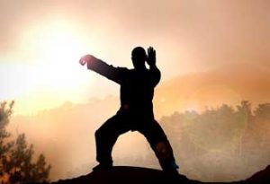 Lire la suite à propos de l’article INITIATION AU QIGONG