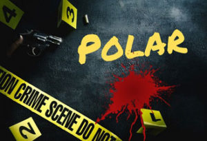 Lire la suite à propos de l’article SALON DU POLAR