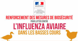 Lire la suite à propos de l’article ALERTE RENFORCEE CONTRE LA GRIPPE AVIAIRE