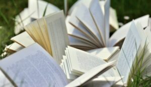 Lire la suite à propos de l’article BIBLIOTHÈQUE MUNICIPALE – DISCUSSION AUTOUR DU PRIX DES VILLES SOEURS 2021