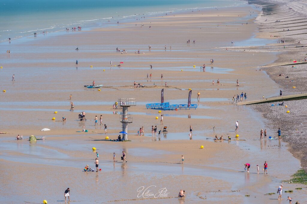 D4S_7288_(Copier)