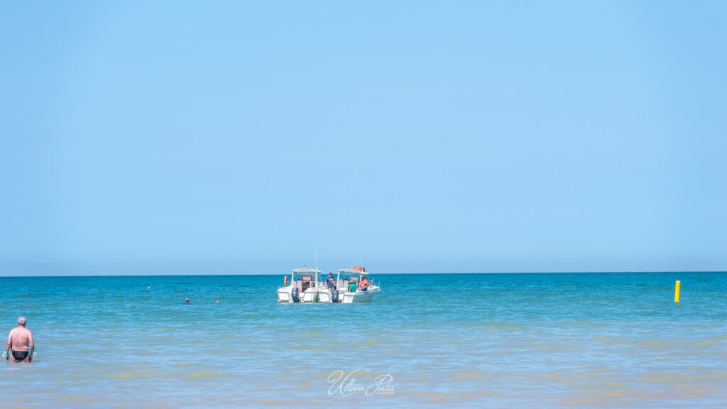 D4S_7329_(Copier)