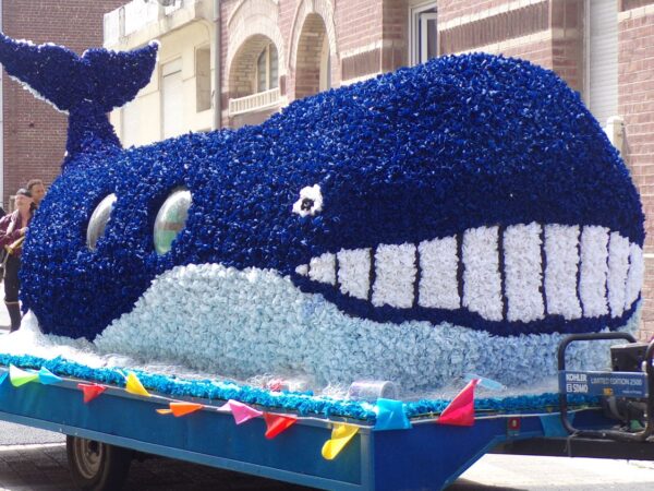 CARNAVAL D’ÉTÉ A AULT LE 22 JUIN 2024