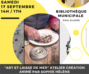 Lire la suite à propos de l’article BIBLIOTHÈQUE : ATELIER CREATION « ART ET LAISSE DE MER »