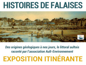 Lire la suite à propos de l’article L’EXPOSITION « HISTOIRES DE FALAISES » À AULT