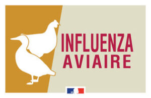 Lire la suite à propos de l’article INFLUENZA AVIAIRE – MAINTIEN DE LA MISE EN PLACE D’UNE ZONE DE CONTROLE TEMPORAIRE