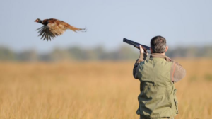 Lire la suite à propos de l’article ASSEMBLÉE GÉNÉRALE DE L’UNION DES CHASSEURS