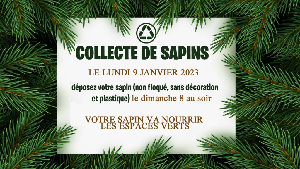 Collecte de sapins du 2 au 27 janvier 2023