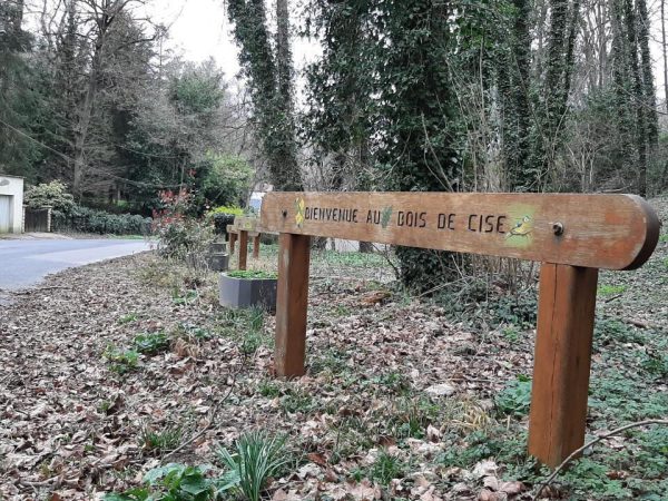 BOIS DE CISE – FESTIVAL CHAMPÊTRE LE 9 AOUT 2025 – 2ᵉ ÉDITION