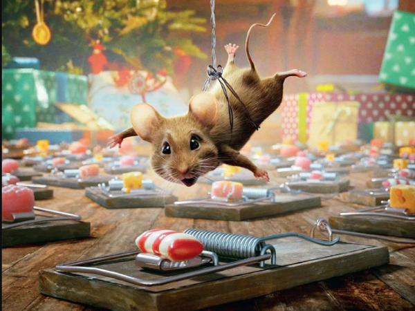 LE CAMÉO : SEMAINE DU 17 AU 30 DÉCEMBRE 2025 – PANIQUE A NOËL